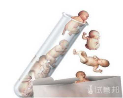 武汉泰东方试管婴儿公司怎么样,武汉做试管婴儿的私人中介公司可靠吗？