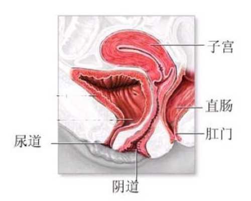 广州传承生殖医学怎么样|包头供卵试管血型:包头供卵试管血型要求
